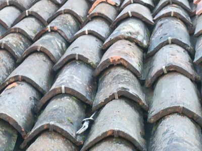 Sicurezza-Integrata-su-Copertura-Lignea--Intervento-a-Pavia-(PV)-11